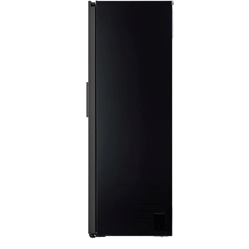 Холодильник LG GC-B401FAPM 3