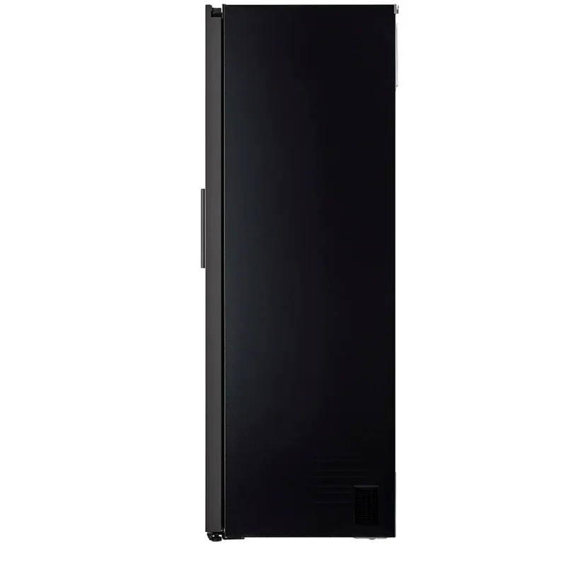 Холодильник LG GC-B401FEPM 4