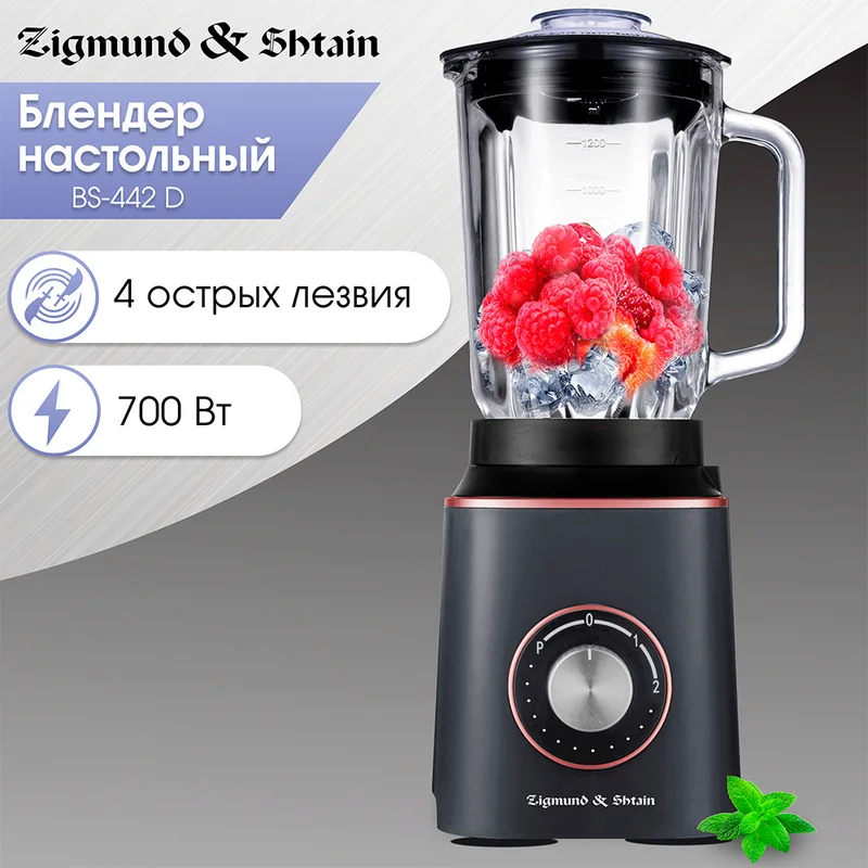Блендер стационарный Zigmund&Shtain BS-442 D 2