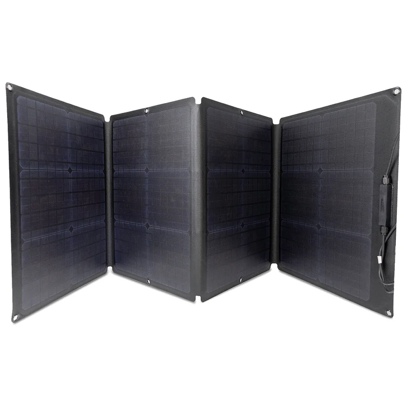 Солнечная панель EcoFlow 110 Вт (EFSOLAR110W) 2