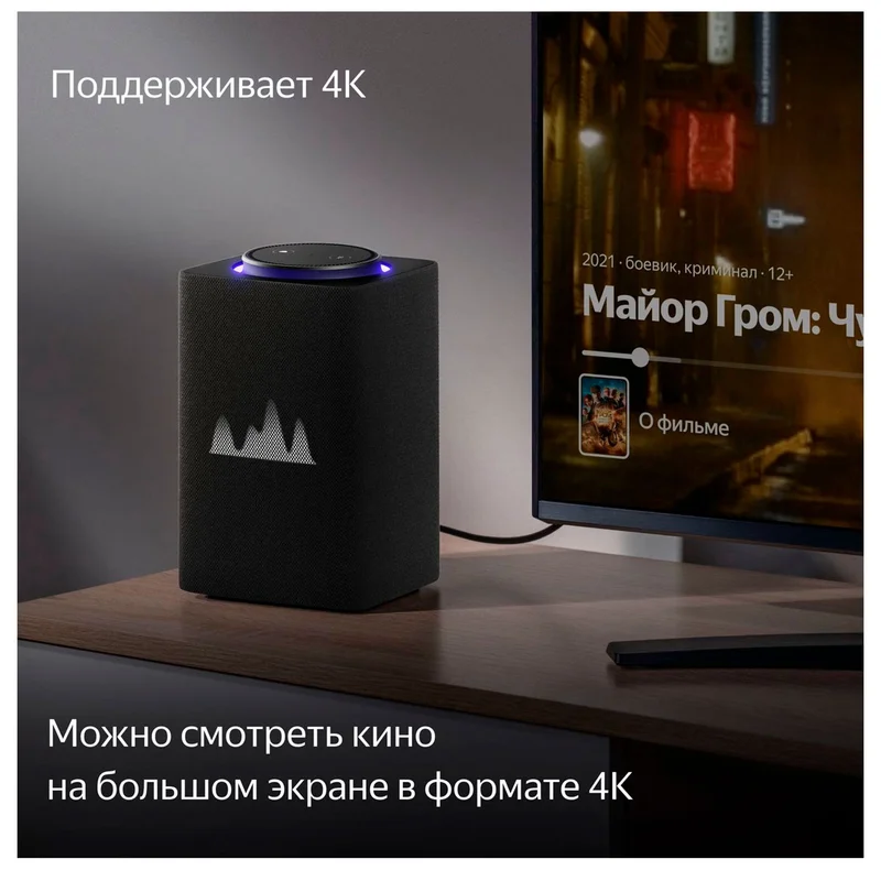 Умная колонка Яндекс Станция Макс с Алисой, c Zigbee, Графит (YNDX-00053 Graphite) 7