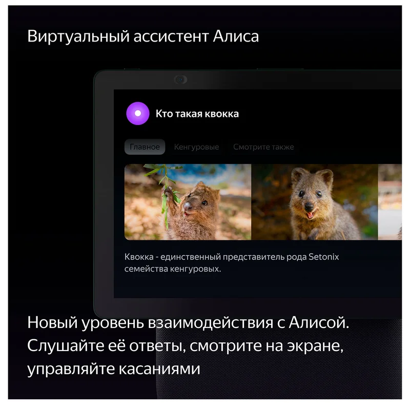 Умная колонка Яндекс Станция Дуо Макс с Zigbee, Бежевая (YNDX-00055BIE) 12