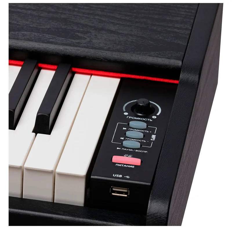 Цифровое пианино ROCKDALE Keys RDP-3088 , 88 клавиш, черный 6