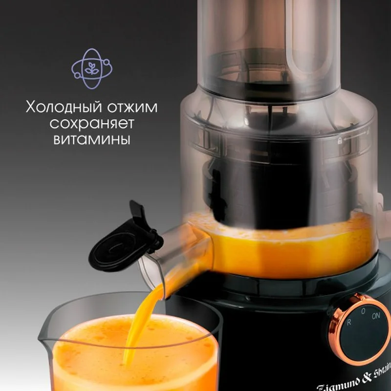 Соковыжималка прессовая Zigmund&Shtain ESJ-771 4