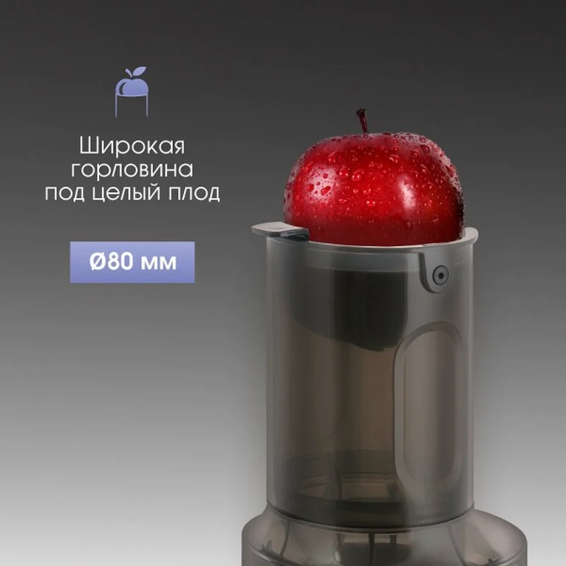 Соковыжималка прессовая Zigmund&Shtain ESJ-771 5