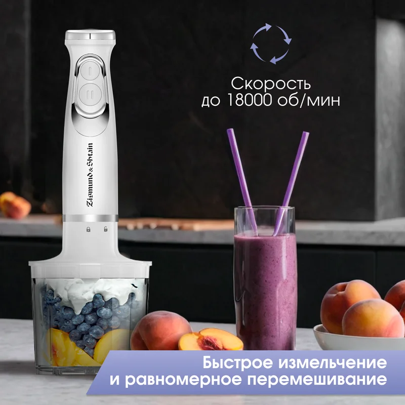 Блендер погружной Zigmund&Shtain BH-244 M 9