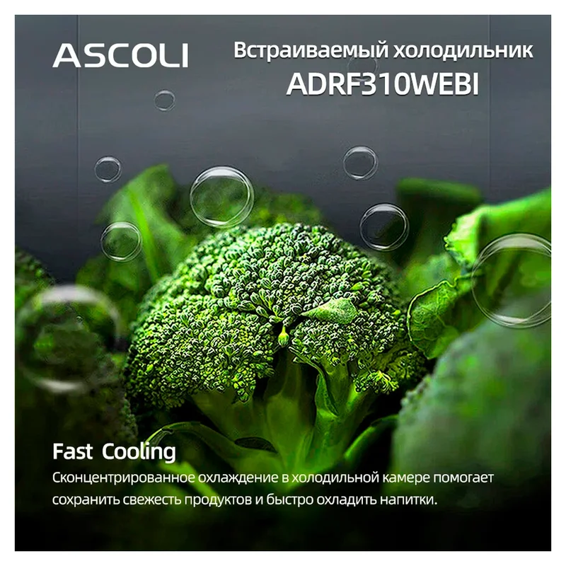 Встраиваемый холодильник ASCOLI ADRF310WEBI 15