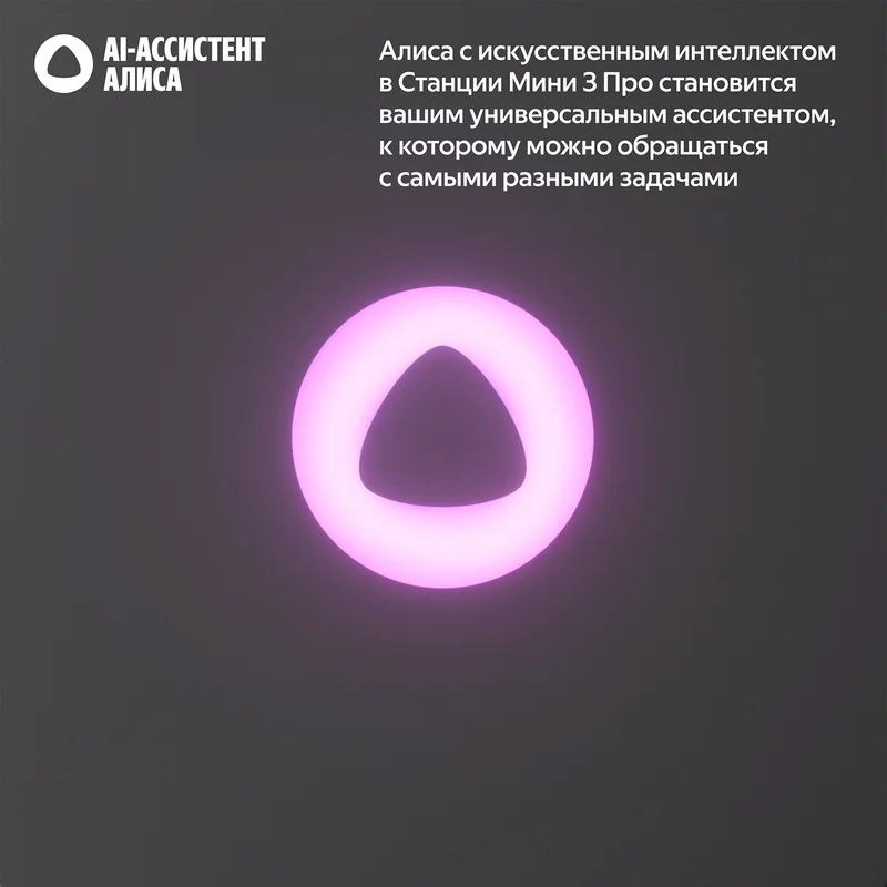 Умная колонка Яндекс Станция Мини 3 Про, Черный (YNDX-00059) 3