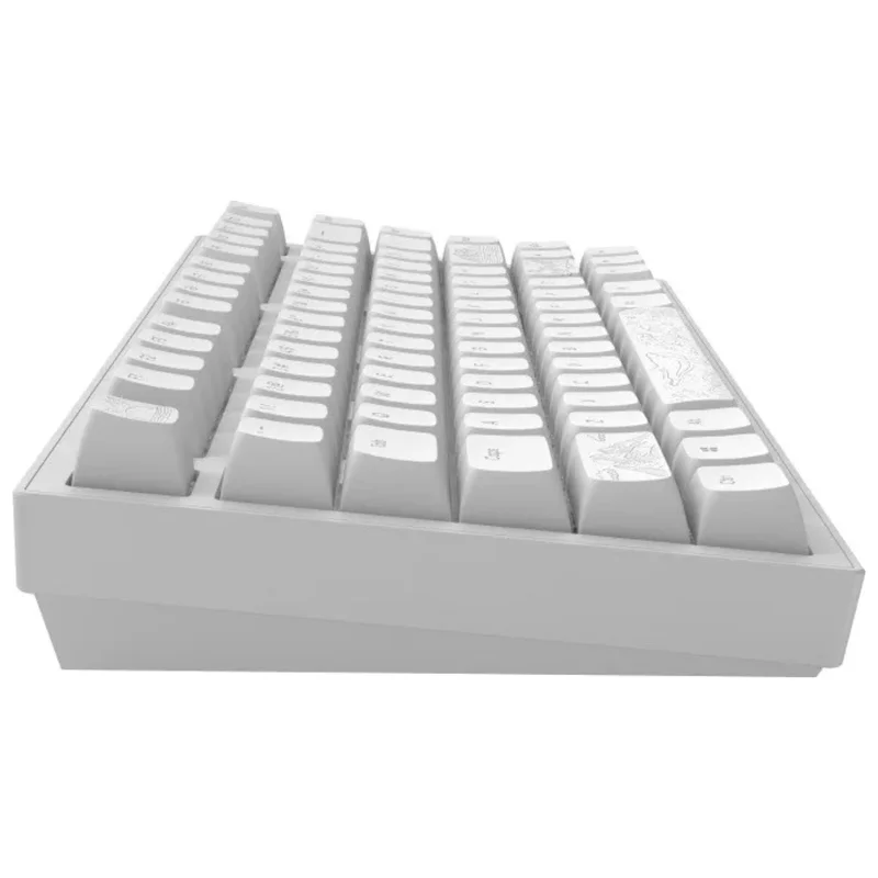 Игровая клавиатура проводная Dark Project ALU81A Terra Nostra, White (DPKB_NOSTRA_81_ANSI_WHITE_UA) 5
