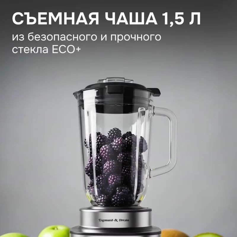 Блендер стационарный Zigmund&Shtain BS-488 D 11