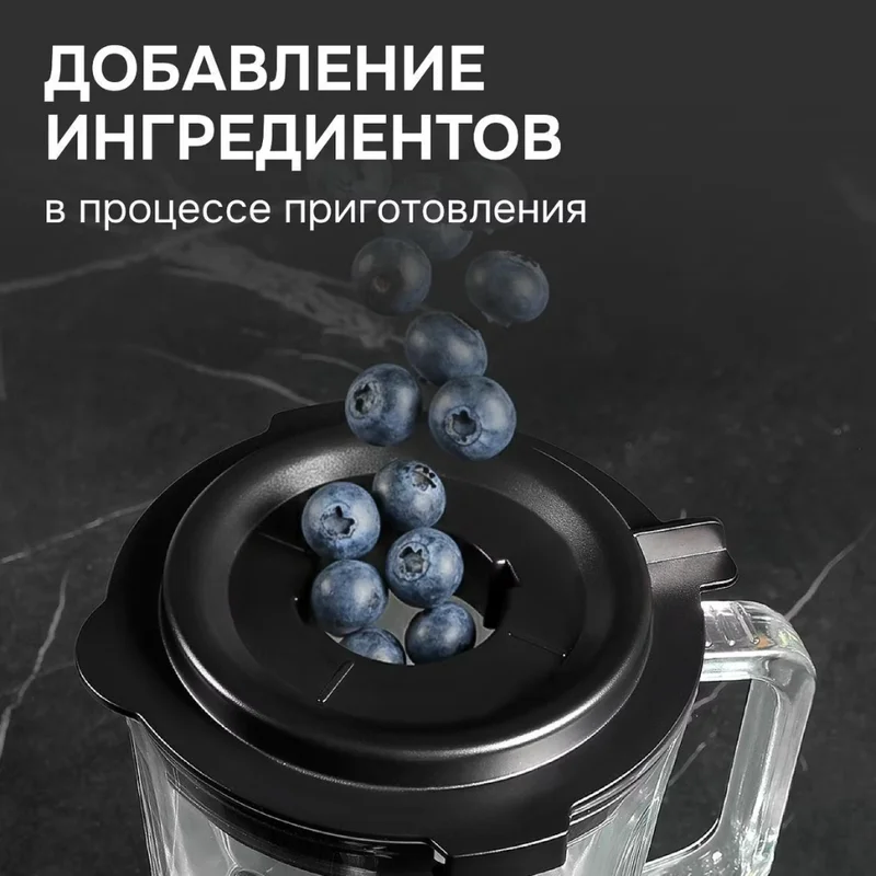 Блендер стационарный Zigmund&Shtain BS-488 D 9